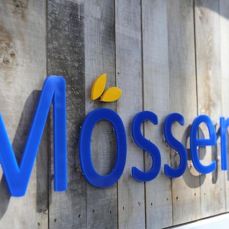 Moessems Hotel Денекамп Екстериор снимка